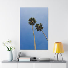 Load image into Gallery viewer, Palm Heights