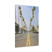 Load image into Gallery viewer, Ave of the Palms