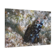 Load image into Gallery viewer, Lil One