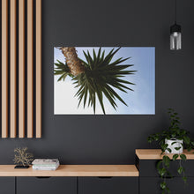 Load image into Gallery viewer, Shadow Precision