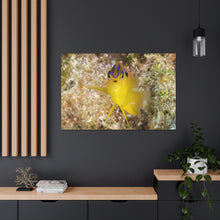 Load image into Gallery viewer, Spotlight