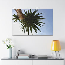 Load image into Gallery viewer, Shadow Precision