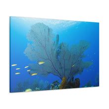 Load image into Gallery viewer, Fan Through The Deep Blue