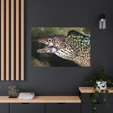 Load image into Gallery viewer, Eel