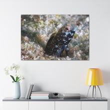 Load image into Gallery viewer, Lil One