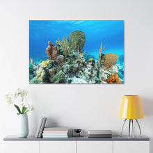 Load image into Gallery viewer, Crafty Coral