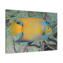 Load image into Gallery viewer, Queen