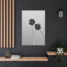 Load image into Gallery viewer, Palm Heights B/W