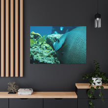 Load image into Gallery viewer, I See You