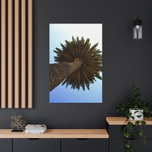 Load image into Gallery viewer, Frond Crown