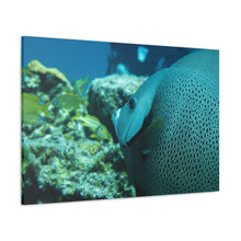 Load image into Gallery viewer, I See You