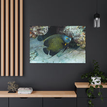 Load image into Gallery viewer, Solo One