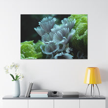 Load image into Gallery viewer, Fan Through Bliss