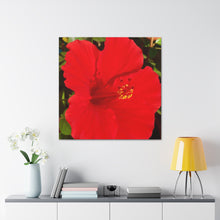 Load image into Gallery viewer, Red Hibiscus