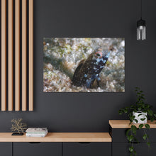 Load image into Gallery viewer, Lil One