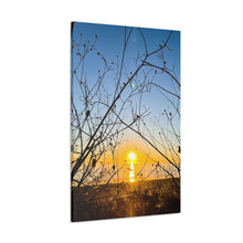Load image into Gallery viewer, Capture of Vines