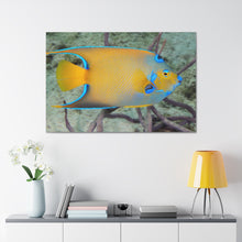 Load image into Gallery viewer, Queen