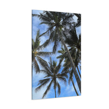 Load image into Gallery viewer, Palm Wash