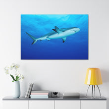 Load image into Gallery viewer, King