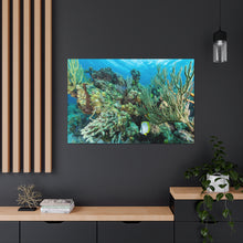 Load image into Gallery viewer, Coral Sanctuary
