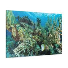 Load image into Gallery viewer, Coral Sanctuary
