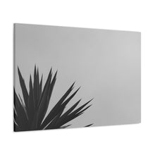 Load image into Gallery viewer, Premium Frond B/W
