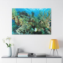 Load image into Gallery viewer, Coral Sanctuary
