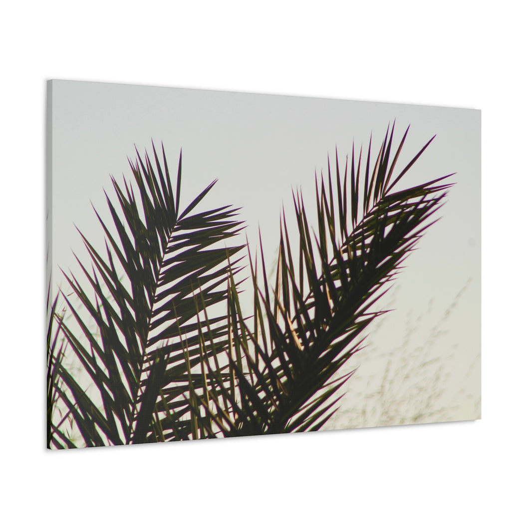 Pacific Palm Frond